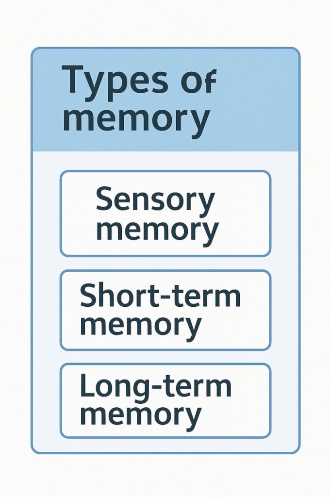 Memory in Psychology diagram showing types and processes.